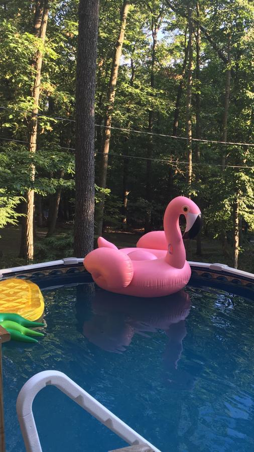 Pocono Cabin With Private Pool At Shawnee Mtn East Stroudsburg Buitenkant foto